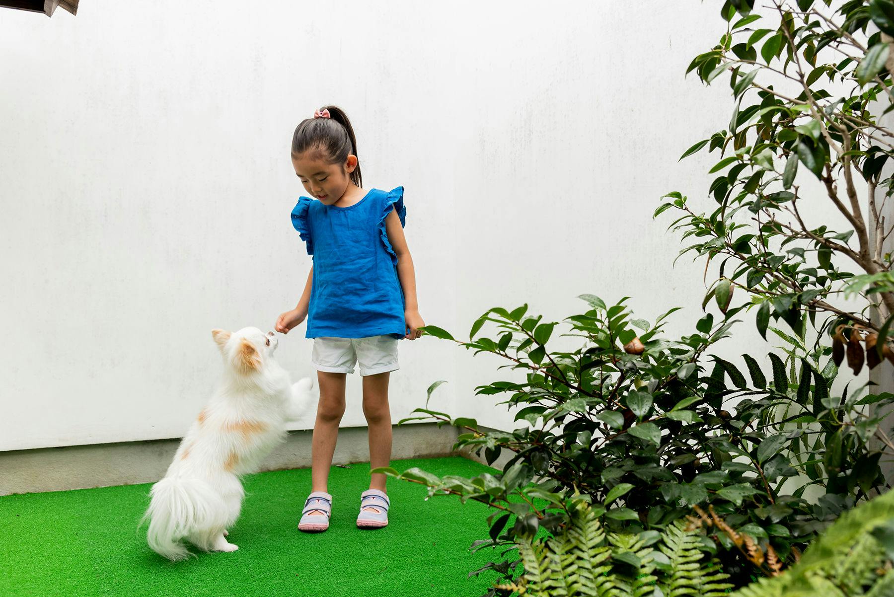 西陣北はぎ・あじさいドッグテッラス