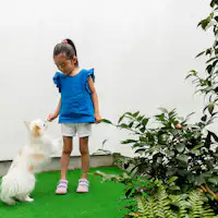 西陣北はぎ・あじさいドッグテッラス