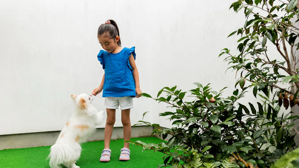 Kyomachiya Whole House Rental Allowing Pets - Rakuryuan Nishijin Kitahagi & Ajisai