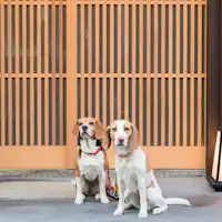 西陣北はぎ・あじさいはペット同伴可。