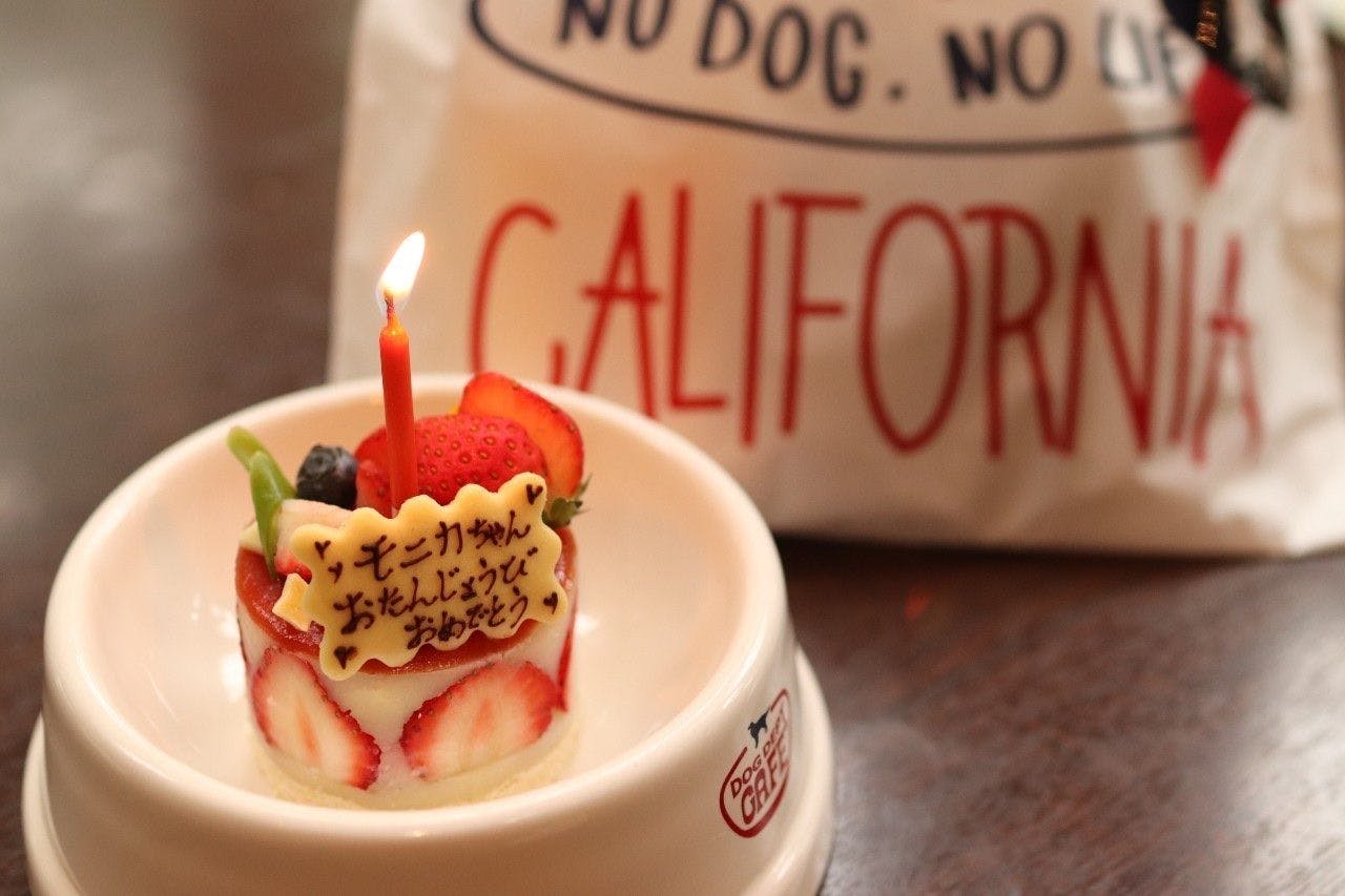 Dog Dept Garden Hotel 軽井沢 の空室状況を確認する 宿泊予約は 一休 Com バケーションレンタル