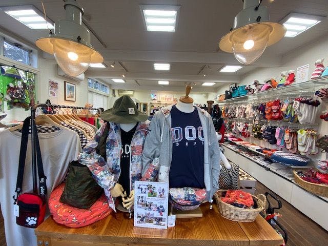 DOG DEPT 오리지널 상품 판매