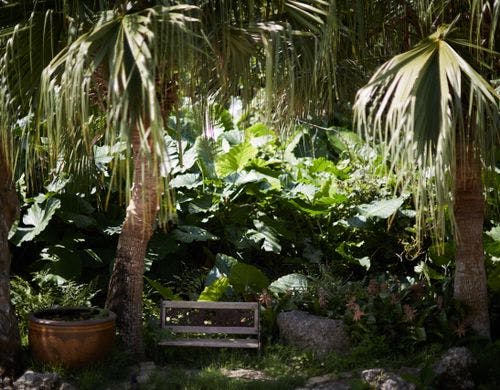 日本庭園(Japanese Garden)