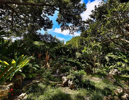 日本庭園(Japanese Garden)