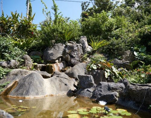 日本庭園(Japanese Garden)