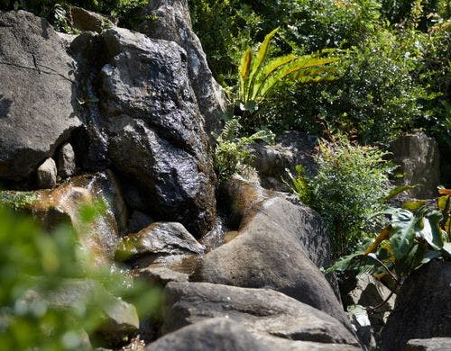 日本庭園(Japanese Garden)