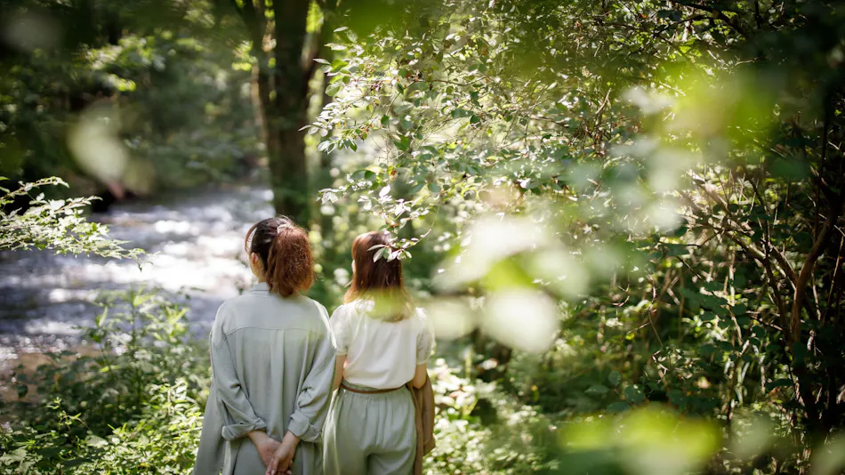 MORIHAKU -Forest Stay-