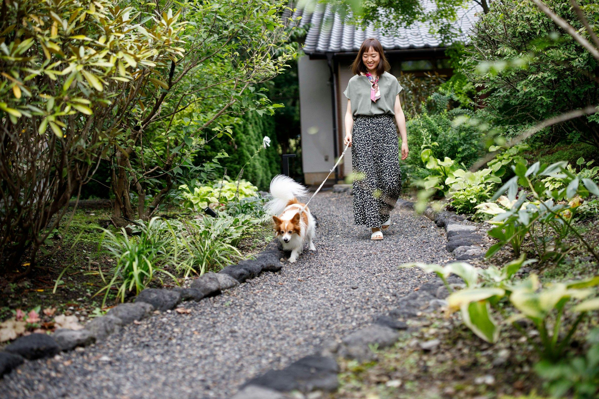 21年最新 ハルニレテラス周辺でペットと泊まれる宿ランキング 一休 Com