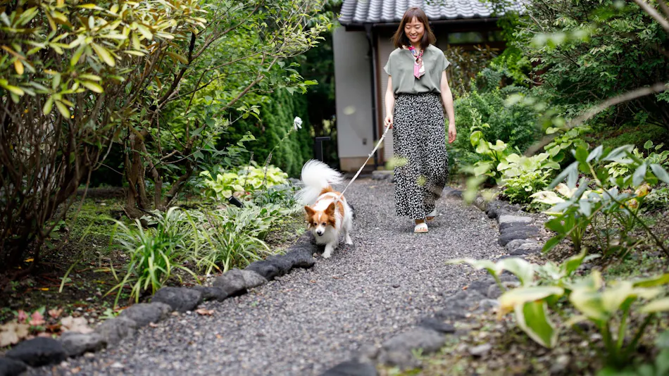MORIHAKU -Forest Stay-
