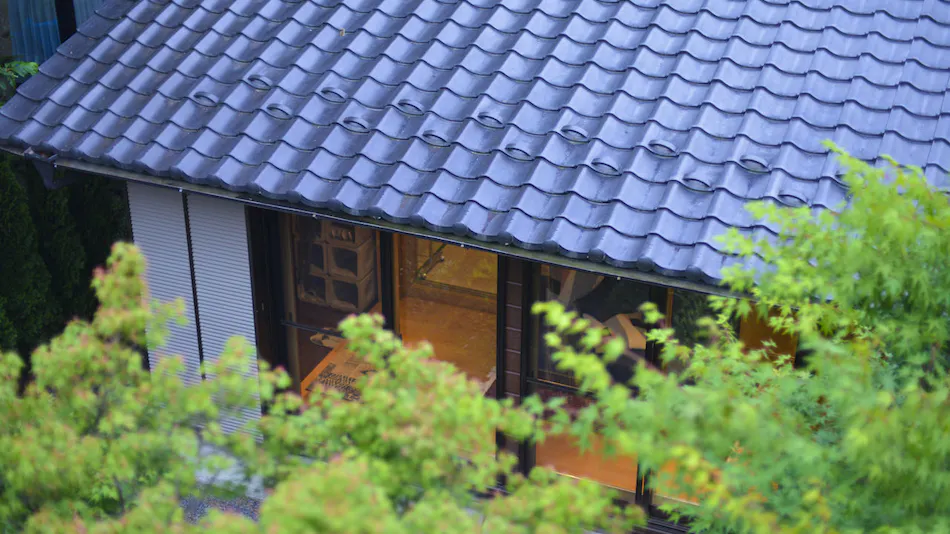 MORIHAKU -Forest Stay-