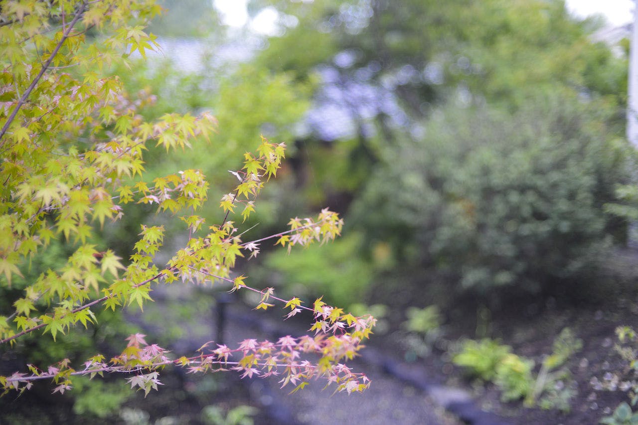 森泊 -MORIHAKU-