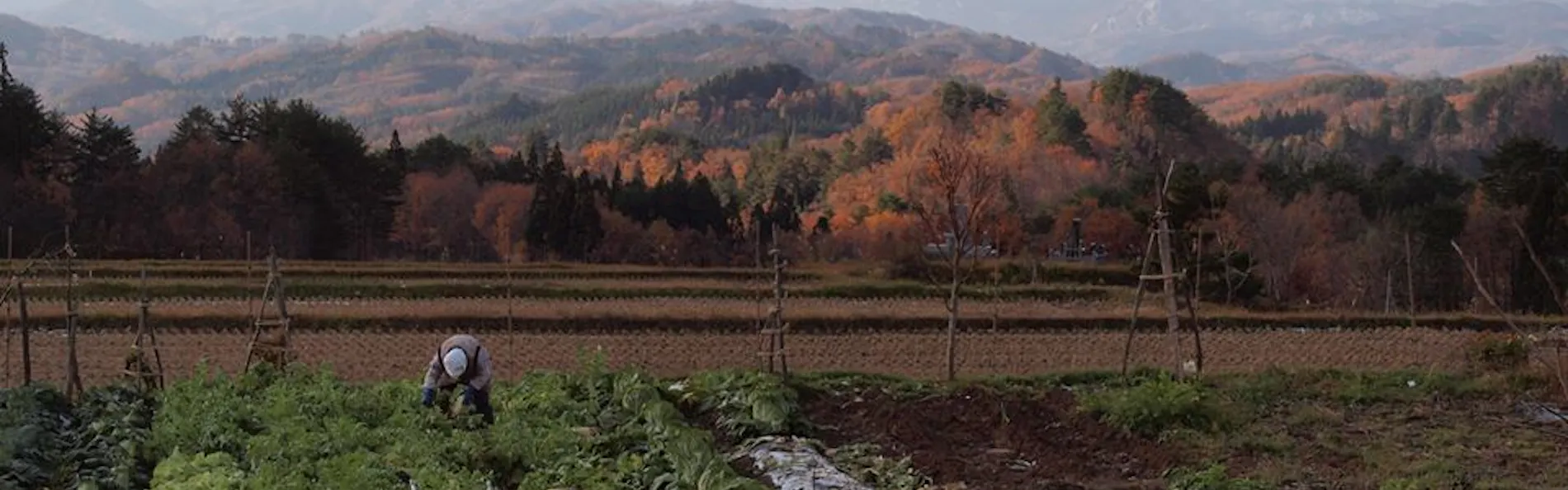 NIPPONIA楢山集落