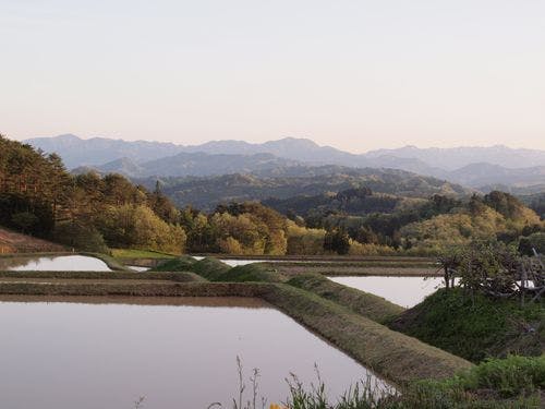 楢山集落見晴らし~春の風景