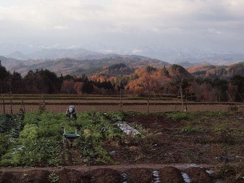 楢山集落の風景-晩秋
