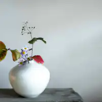 ดอกไม้สดในโทโคโนมะ
