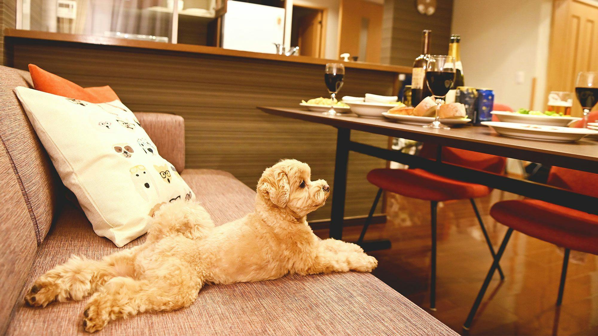 【寵物友善客房】客廳（示意圖）