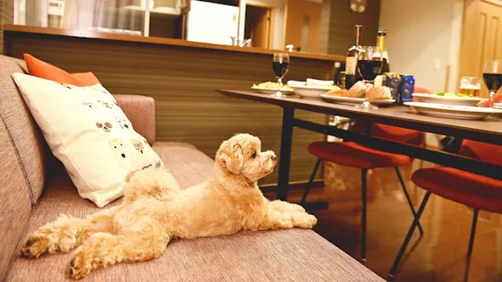 【寵物友善客房】客廳(示意圖)