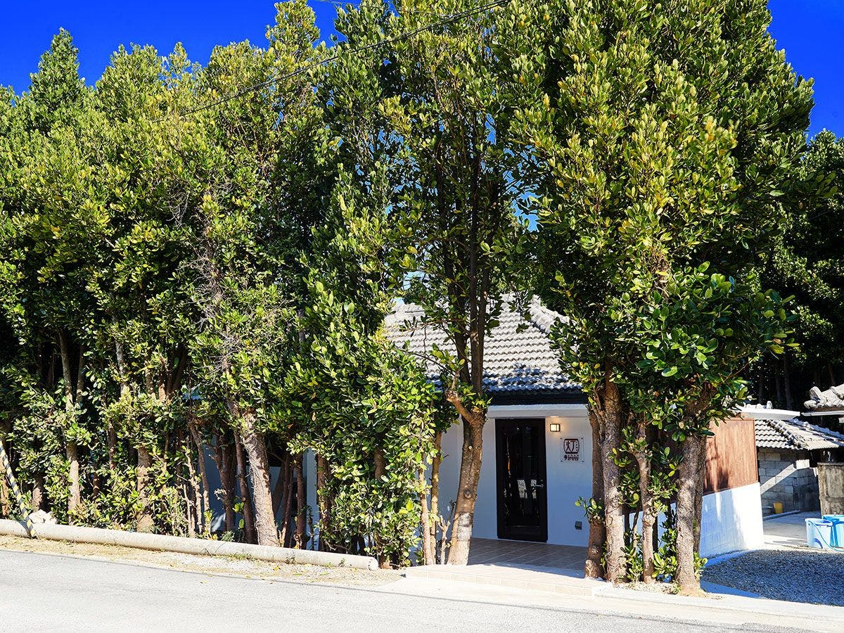 【ภายนอก】แนวต้นฟุกุกิ