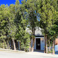 【ภายนอก】แนวต้นฟุกุกิ