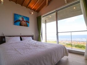 クロロビアンコ奄美のnull