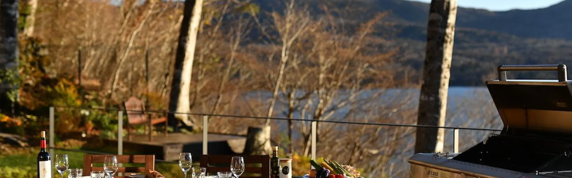 BUCKEYE HOUSE by the lake