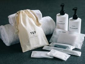 ＴＥＦ　ＴＡＮＩＧＵＭＩ