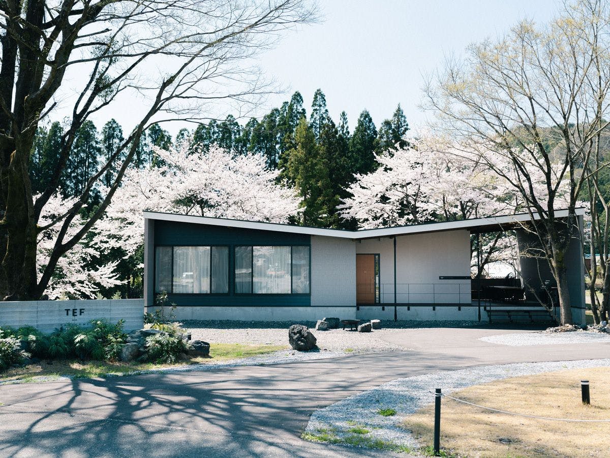 TEF TANIGUMI