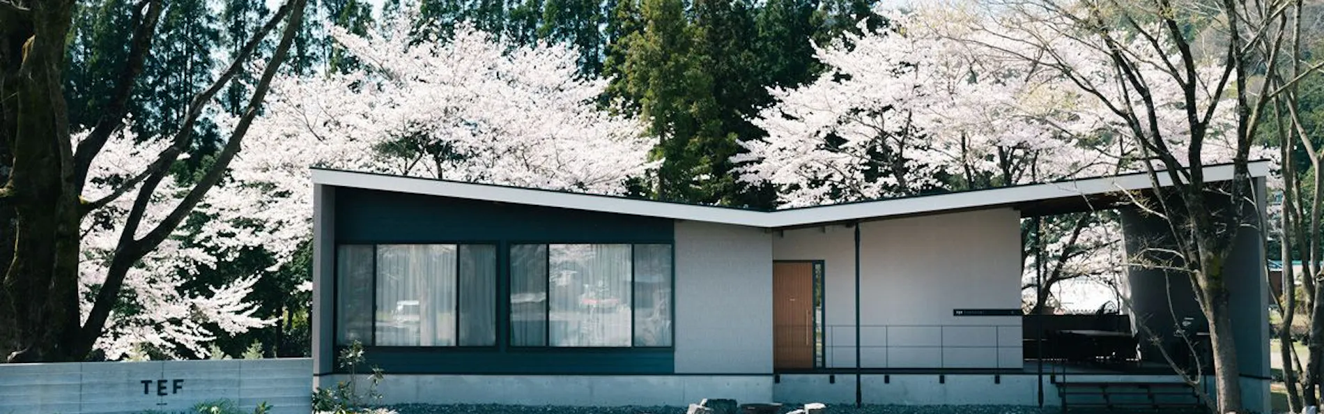 TEF TANIGUMI