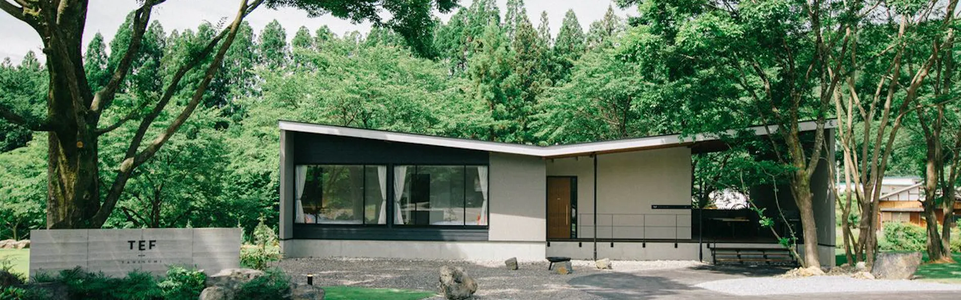 TEF TANIGUMI