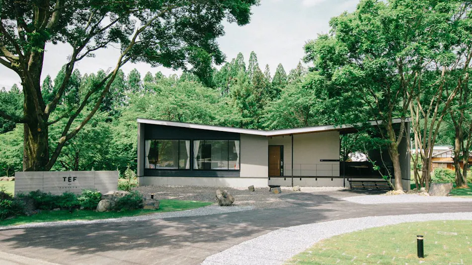 TEF TANIGUMI