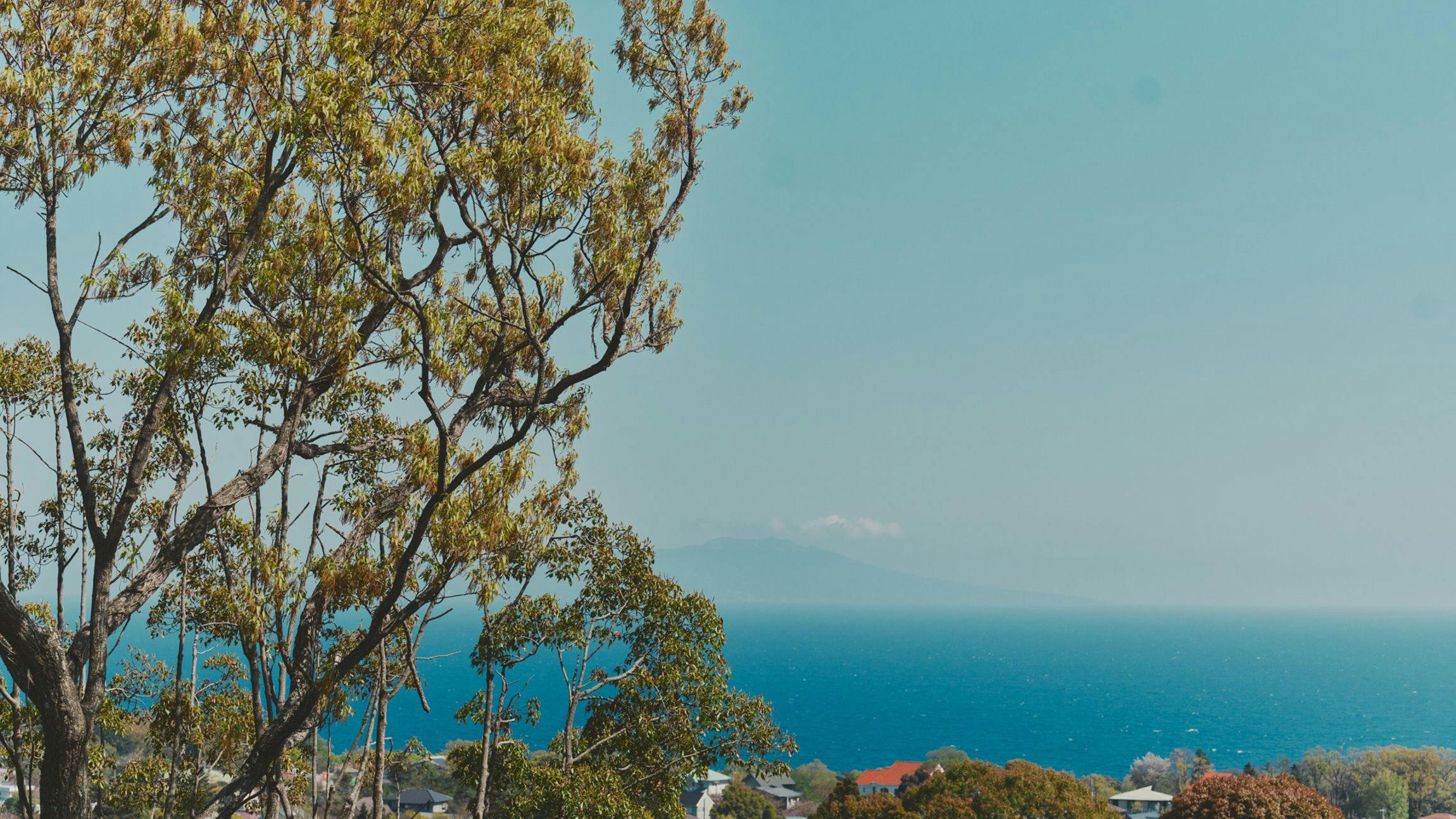 the villa Oka 伊豆高原温泉