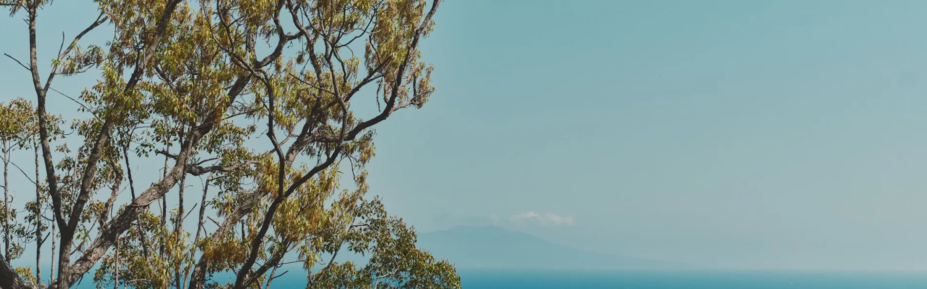 the villa Oka 伊豆高原温泉