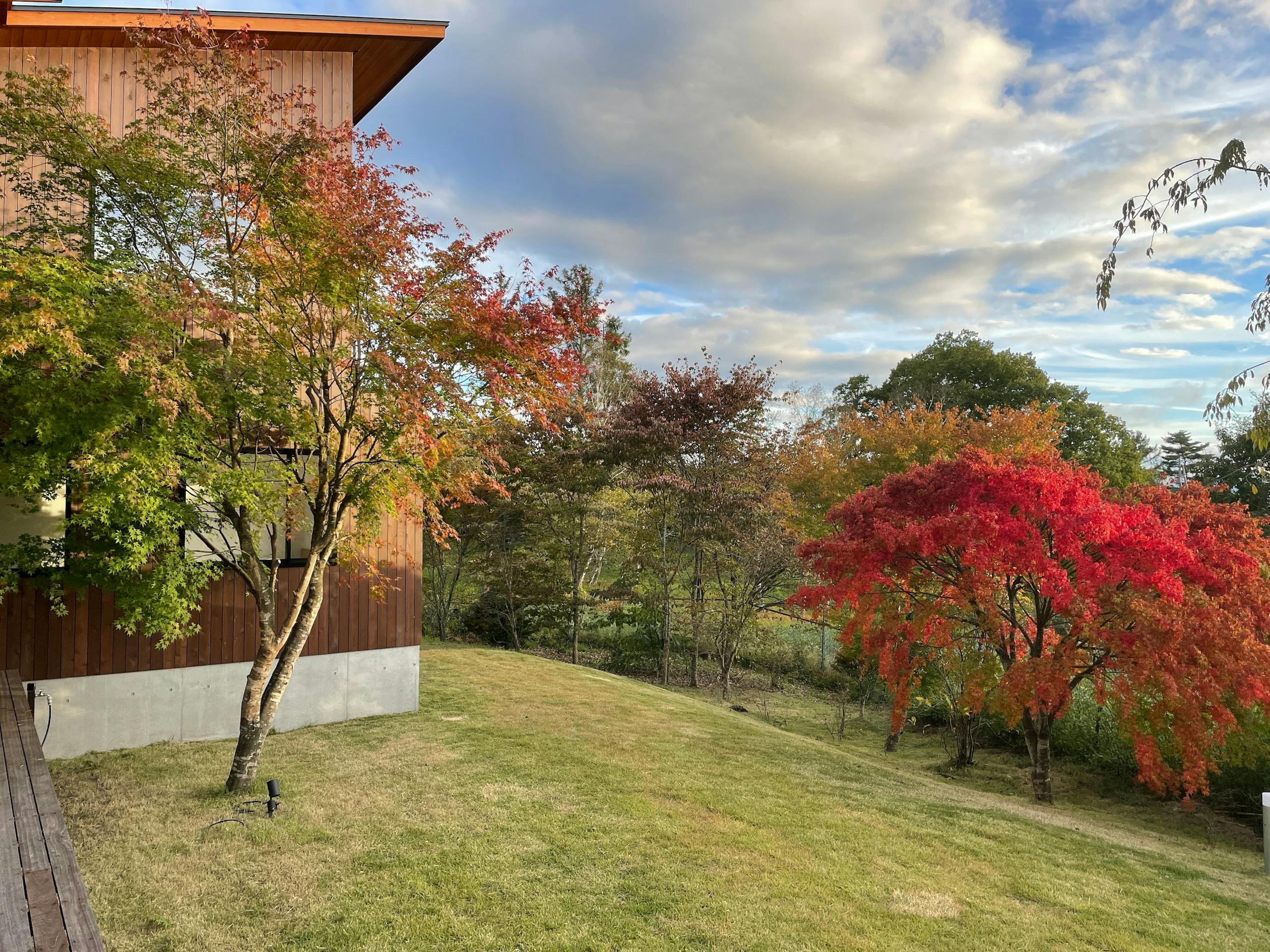 芝生のガーデン