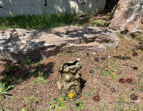 中庭にいるカッパ