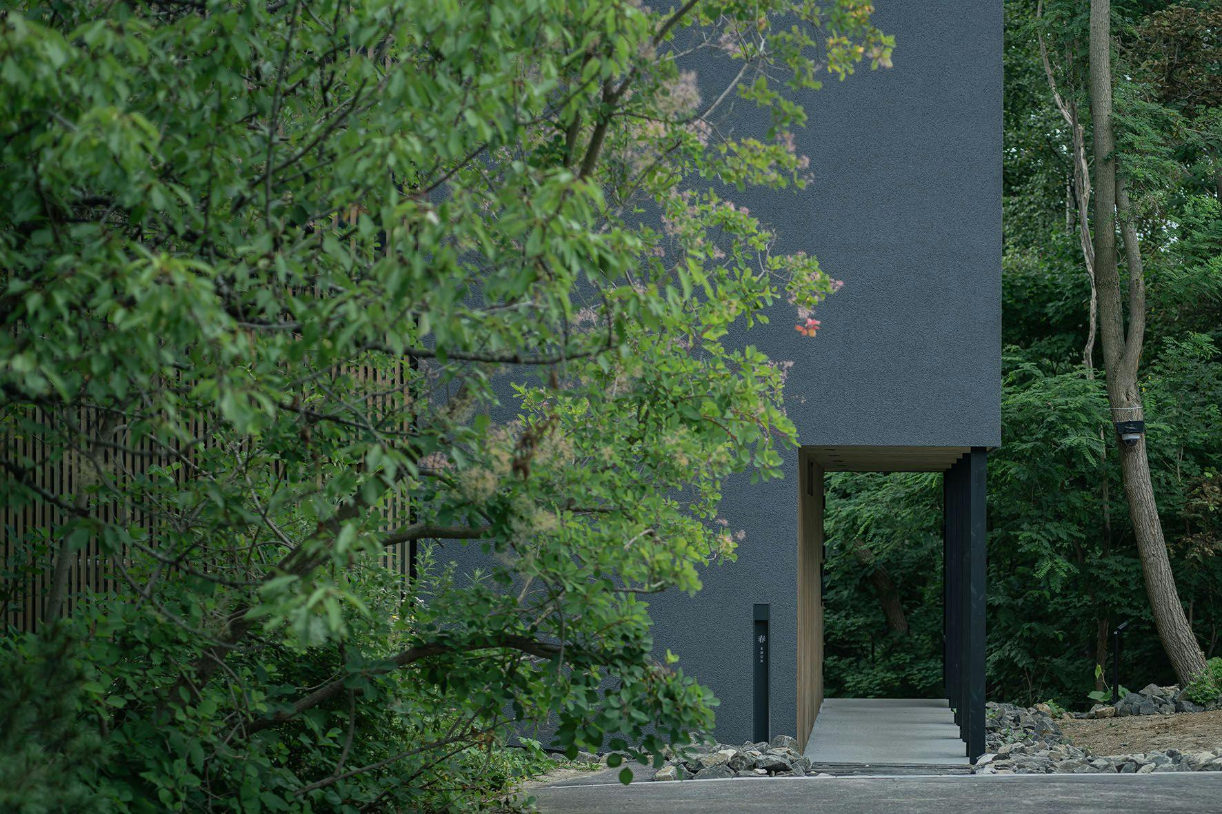 ฤดูใบไม้ผลิ - ภายนอก