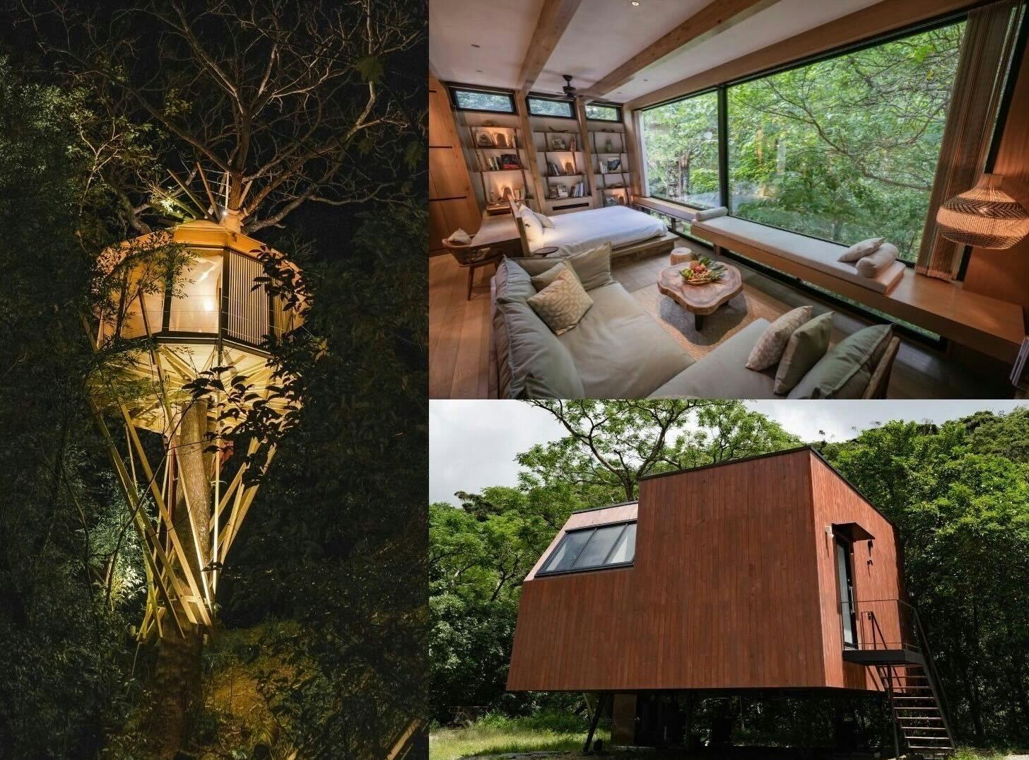 Treeful Treehouse Sustainable Resort Okinawa