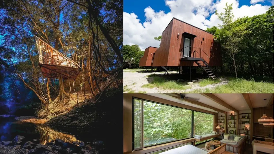 Treeful Treehouse Sustainable Resort