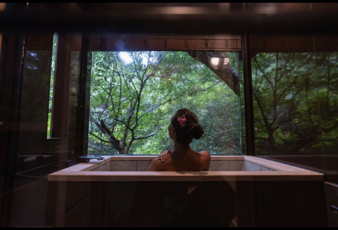 Treeful Treehouse Sustainable Resort