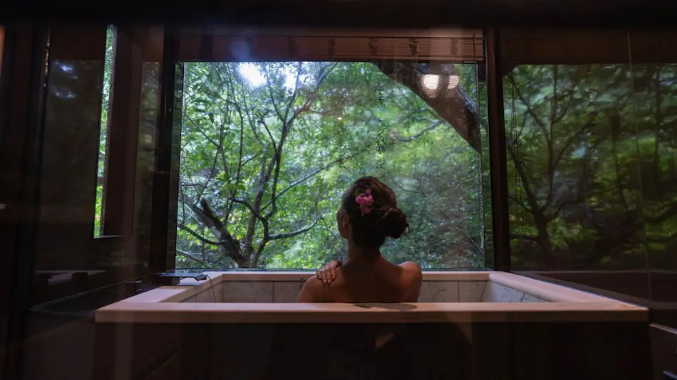 Treeful Treehouse Sustainable Resort
