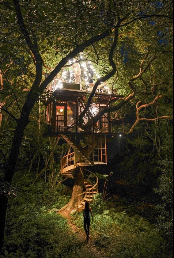 Treeful Treehouse Sustainable Resort - 宿泊予約 - 一休.com