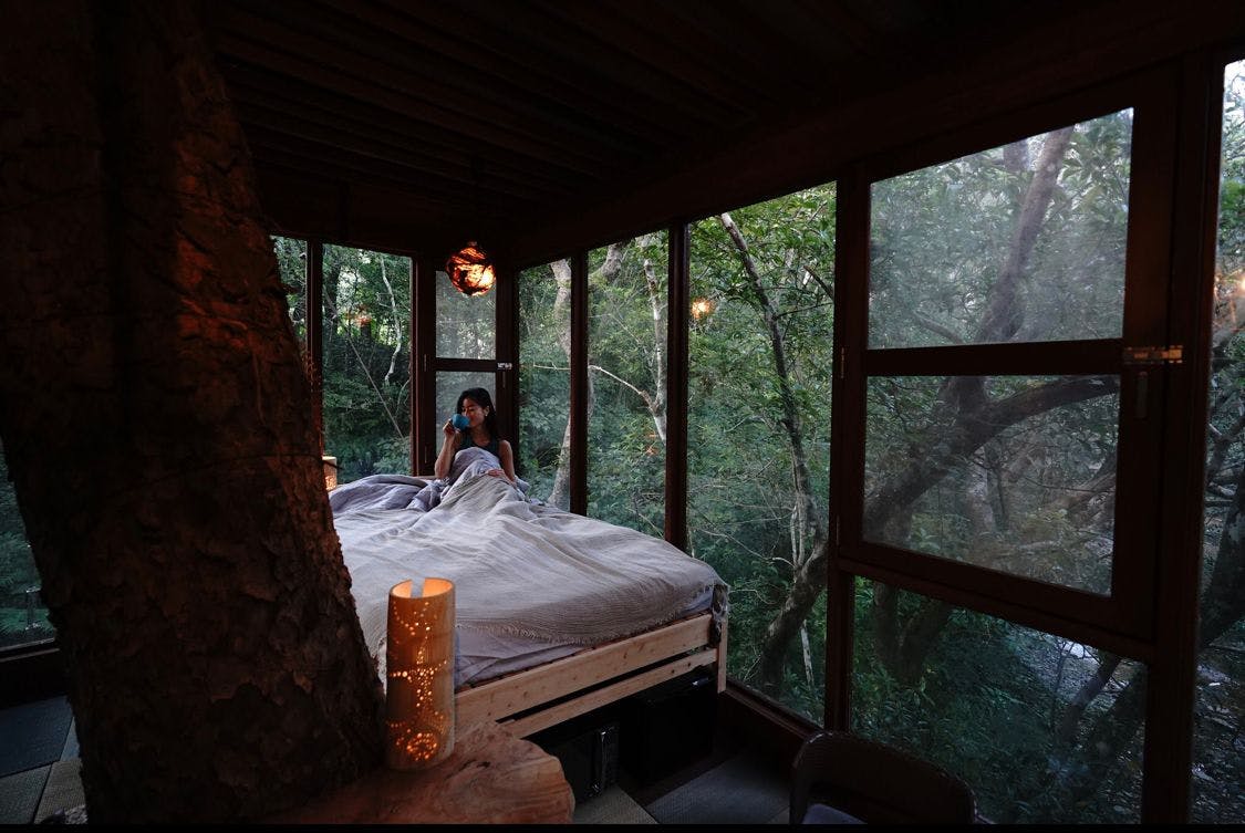 Treeful Treehouse Sustainable Resort Okinawa