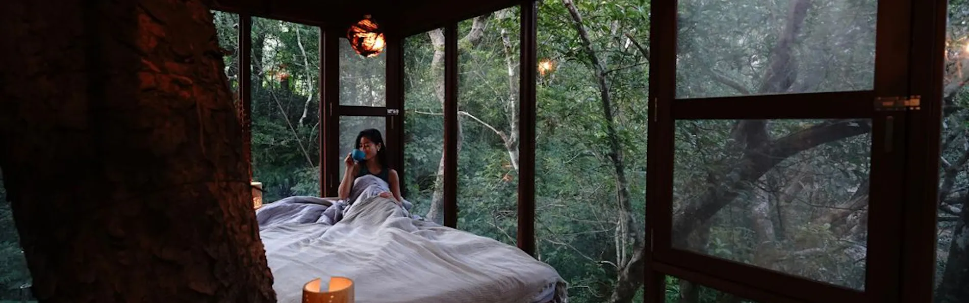 Treeful Treehouse Sustainable Resort Okinawa