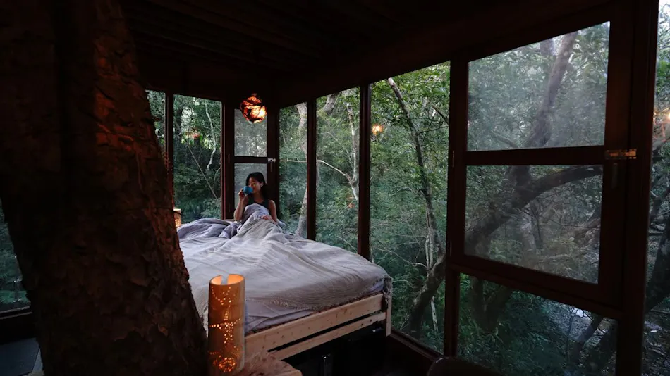 Treeful Treehouse Sustainable Resort