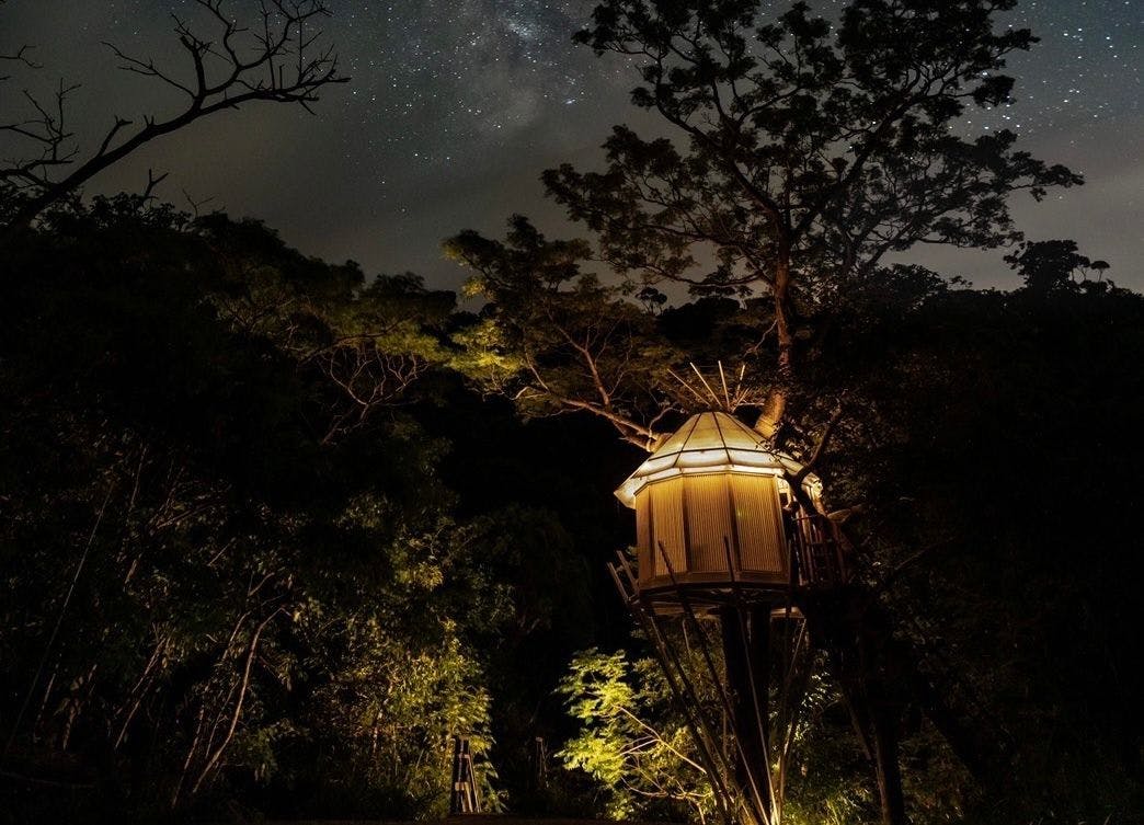 Treeful Treehouse Sustainable Resort - 宿泊予約 - 一休.com