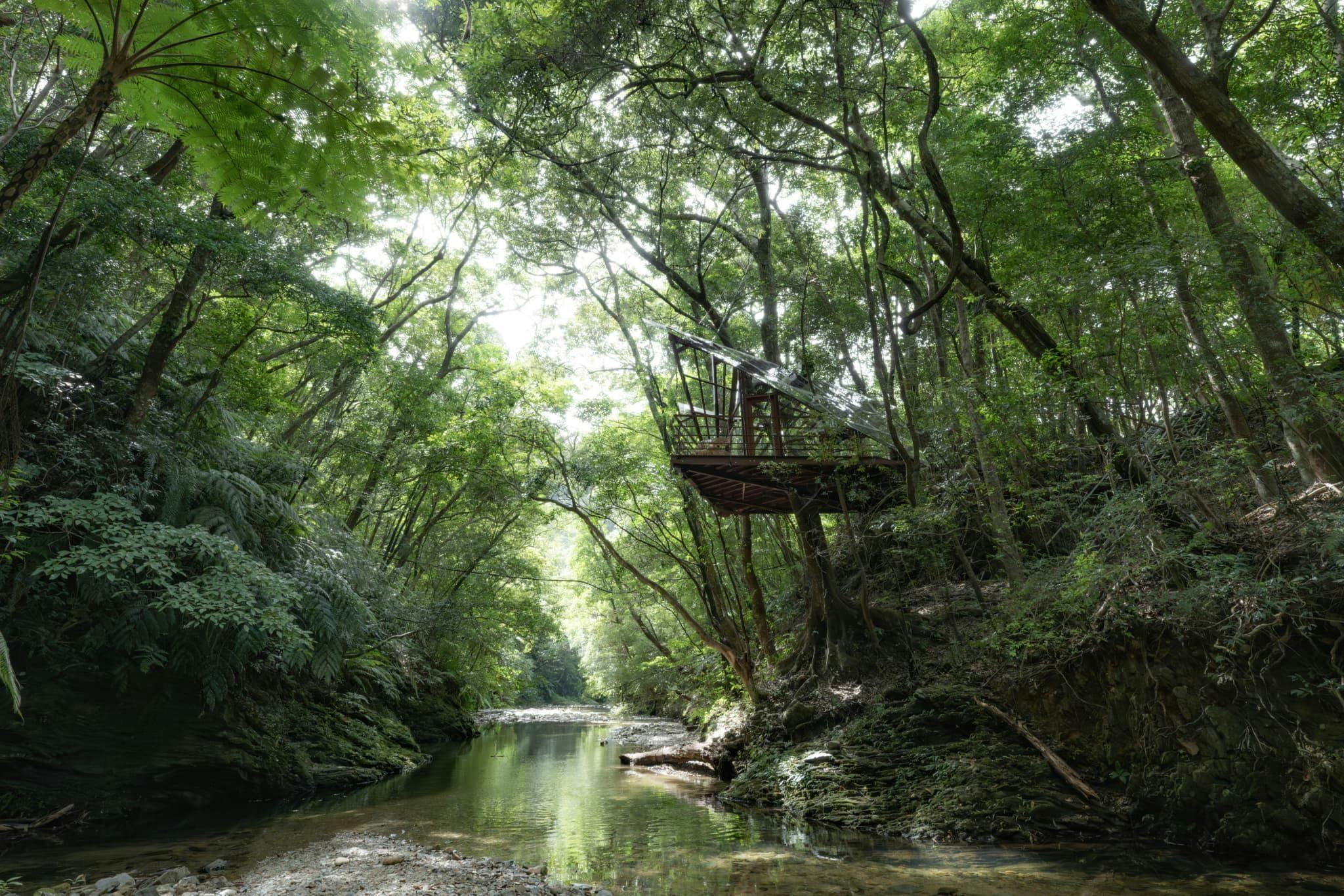 Treeful Treehouse Sustainable Resort - 宿泊予約 - 一休.com