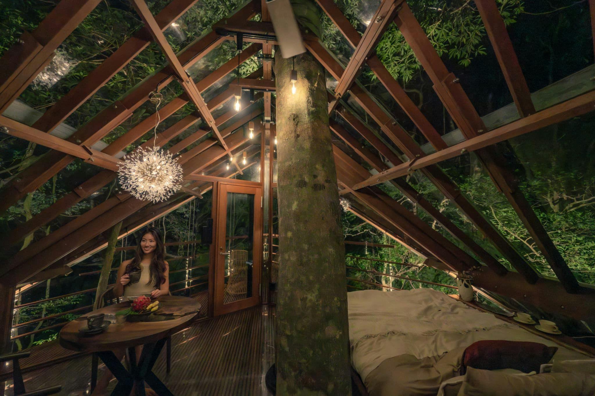 Treeful Treehouse Sustainable Resort Okinawa