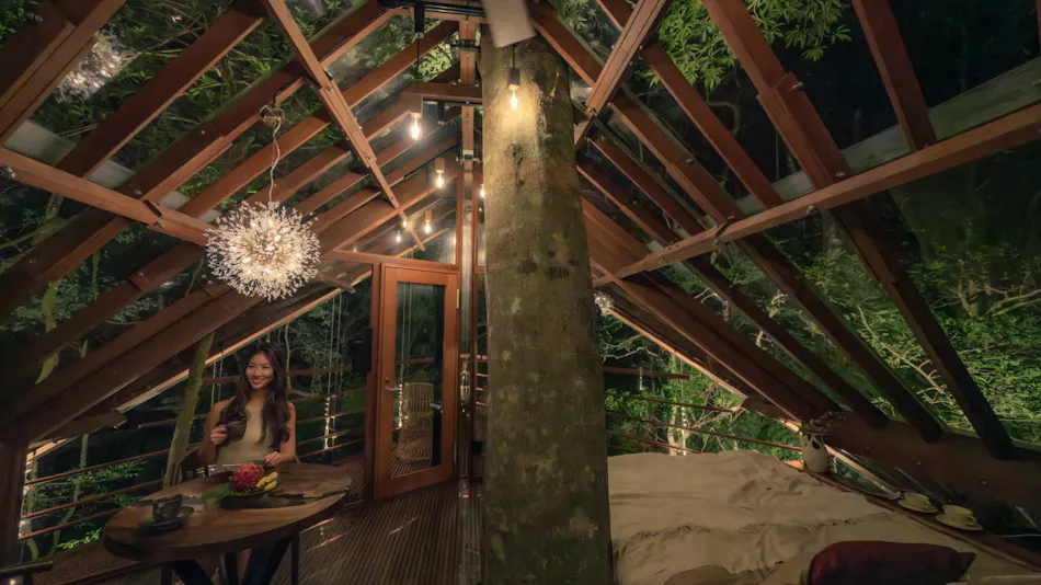 Treeful Treehouse Sustainable Resort