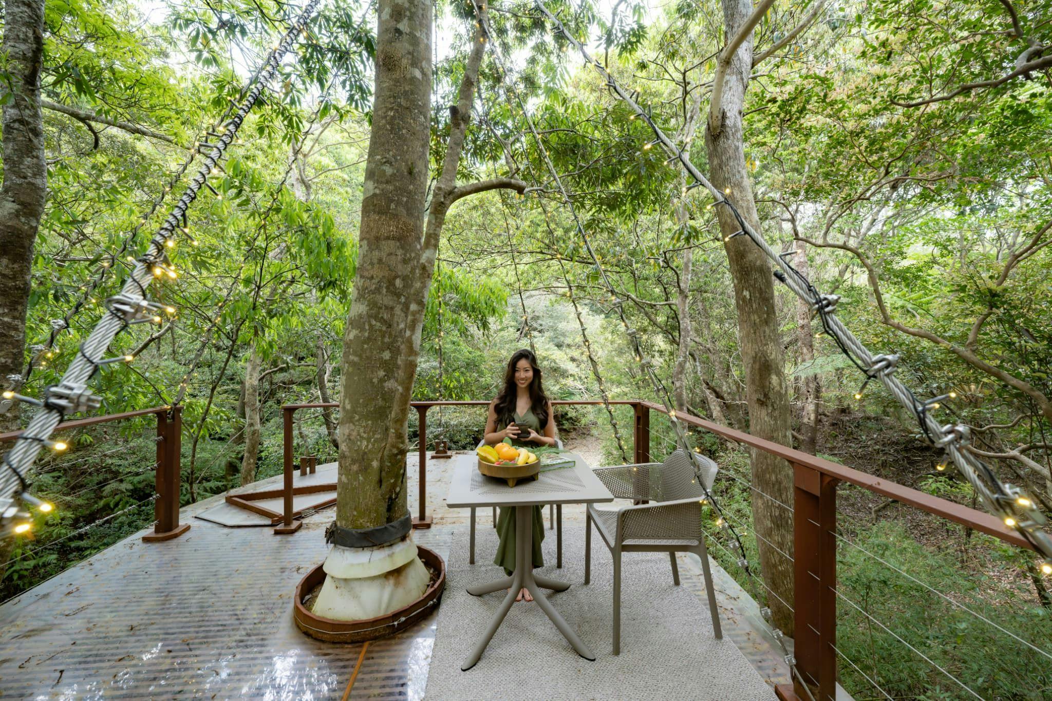 Treeful Treehouse Sustainable Resort Okinawa