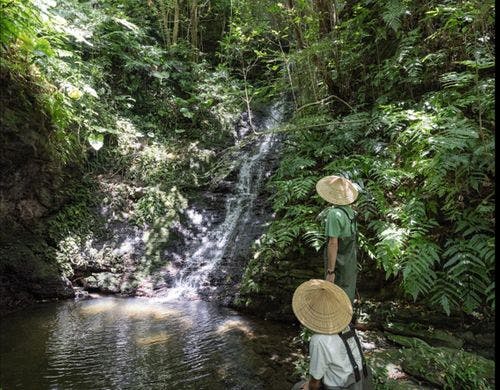 リバートレッキング