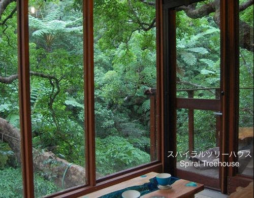 スパイラルツリーハウス